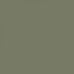 Moss Gray